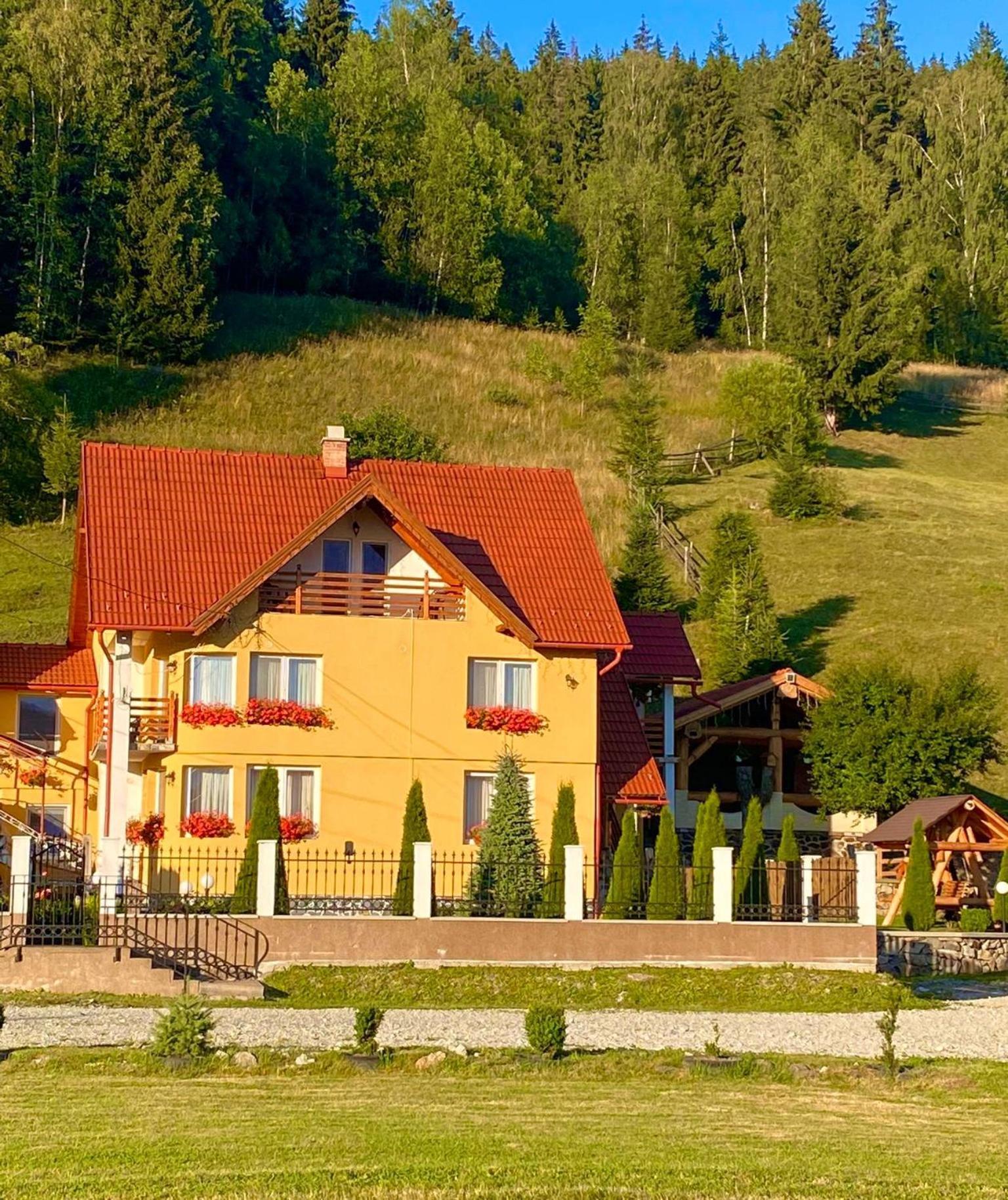 Casa Anghel Vila Bilbor Exterior foto